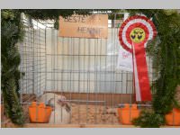 Kleintierschau in Ebenfurth, 26.10.2013