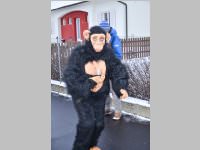 lw_fasching13_425.jpg