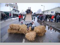 lw_fasching13_453.jpg