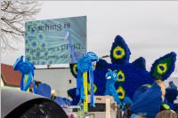 154. Lichtenw�rther Faschingsumzug, 26.02.2017