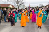 154. Lichtenw�rther Faschingsumzug, 26.02.2017