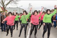 154. Lichtenw�rther Faschingsumzug, 26.02.2017