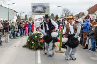 154. Lichtenw�rther Faschingsumzug, 26.02.2017