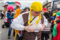 154. Lichtenw�rther Faschingsumzug, 26.02.2017