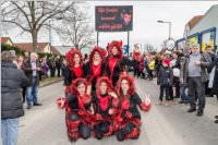 154. Lichtenw�rther Faschingsumzug, 26.02.2017