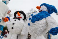 154. Lichtenw�rther Faschingsumzug, 26.02.2017