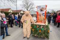 154. Lichtenw�rther Faschingsumzug, 26.02.2017