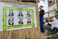 154. Lichtenw�rther Faschingsumzug, 26.02.2017