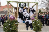 154. Lichtenw�rther Faschingsumzug, 26.02.2017