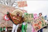 154. Lichtenw�rther Faschingsumzug, 26.02.2017