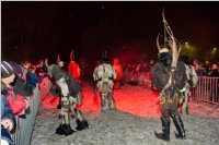 8. Lichtenw�rther Rauhnachtslauf, 05.01.2016