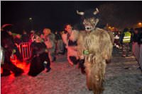 8. Lichtenw�rther Rauhnachtslauf, 05.01.2016