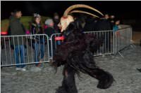 8. Lichtenw�rther Rauhnachtslauf, 05.01.2016