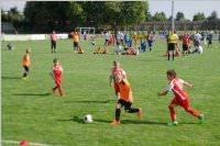 ASV Neufeld: 1. Geza Gallos Gedenkturnier, 22. + 23.08.2015