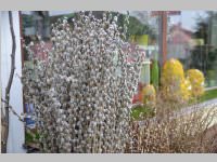 Er�ffnung Blumenzeiten von Eva Stanek, 01.03.2013