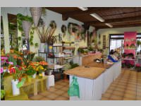 Er�ffnung Blumenzeiten von Eva Stanek, 01.03.2013