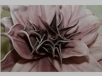 Er�ffnung Blumenzeiten von Eva Stanek, 01.03.2013