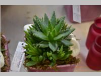 Er�ffnung Blumenzeiten von Eva Stanek, 01.03.2013