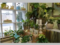 Er�ffnung Blumenzeiten von Eva Stanek, 01.03.2013