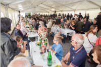 Ventus - der neue Desiro Triebwagen der Raaberbahn, 15.07.2016