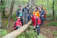 Maibaum der FF Neufeld, 02.05.2015