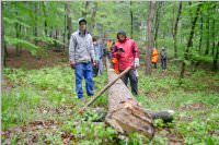 Maibaum der FF Neufeld, 02.05.2015