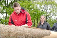 Maibaum der FF Neufeld, 02.05.2015