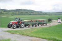 Maibaum der FF Neufeld, 02.05.2015