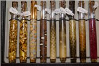 Hobbyk�nstler in Neufeld, 17.10.2015