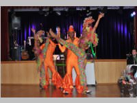 15. Stadtball in Neufeld, 11.01.2014