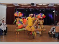 15. Stadtball in Neufeld, 11.01.2014