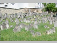 VS Neufeld 3. Klassen in Eisenstadt, 18.06.2014