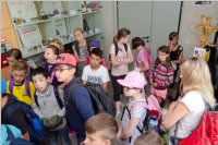 4. Klassen der VS Neufeld besuchen die FF Neufeld, 18.06.2015