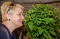 VS: M�rchenprojekt in Forchtenstein, 07.06.2016