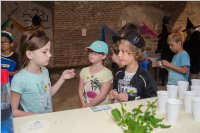 VS: M�rchenprojekt in Forchtenstein, 07.06.2016