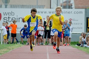 Kids-Olympiade der VS Neufeld, 24.06.2014