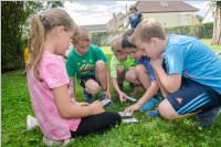 VS Neufeld: Lesepicknick der 1A am Leithaspielplatz, 14.06.2016