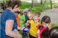 VS Neufeld: Lesepicknick der 1A am Leithaspielplatz, 14.06.2016