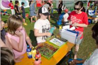 Klimaschulen � Der Sonne entgegen, 12.06.2015