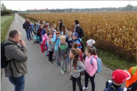 Wandertag der 3. Klassen VS Neufeld nach Zillingdorf/W., 28.09.2016