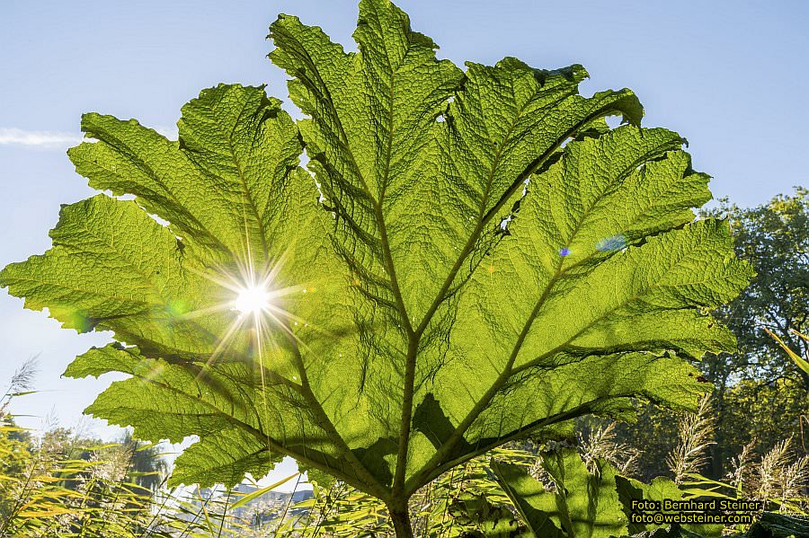 Hamburg, Oktober 2021
