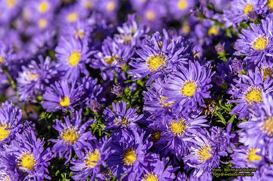 Hamburg, Oktober 2021