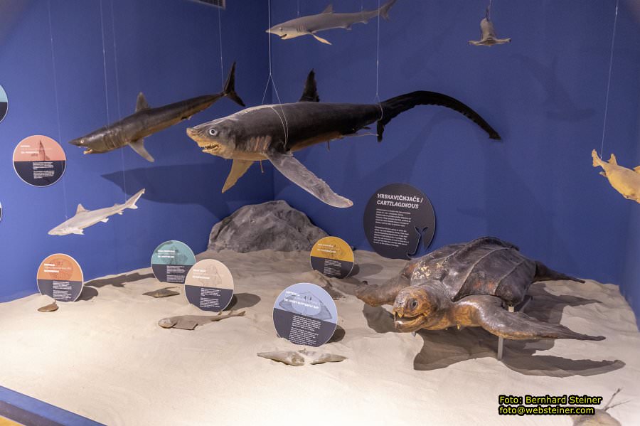 Dubrovnik, Kroatien, Mai 2025