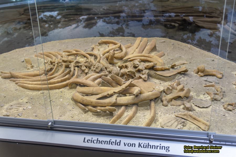 Krahuletz-Museum in Eggenburg, Oktober 2023