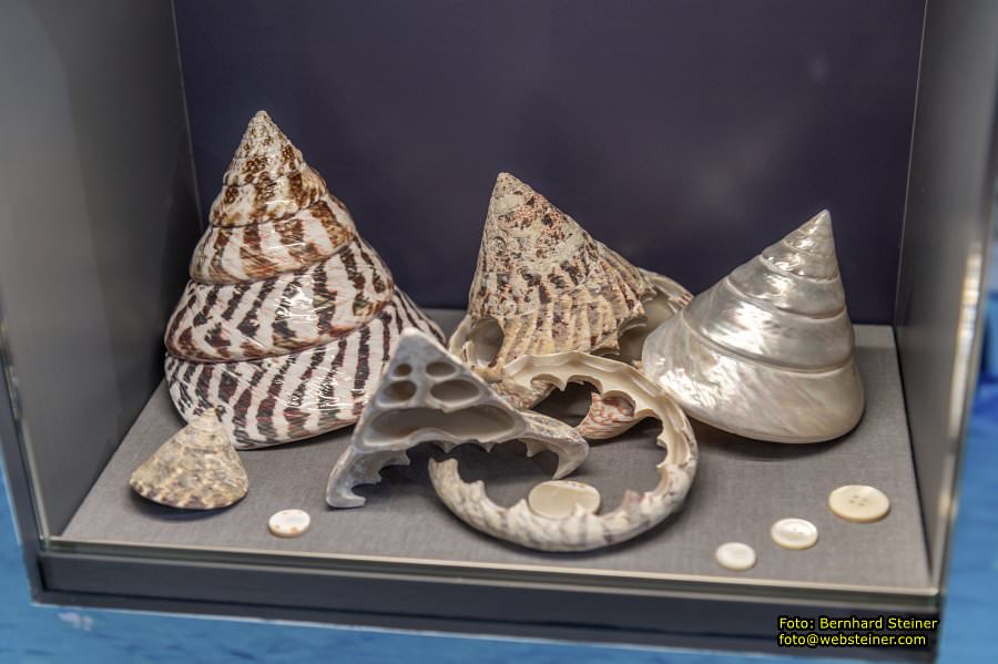 Felling, Oktober 2023