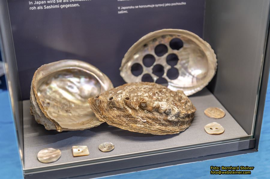 Felling, Oktober 2023