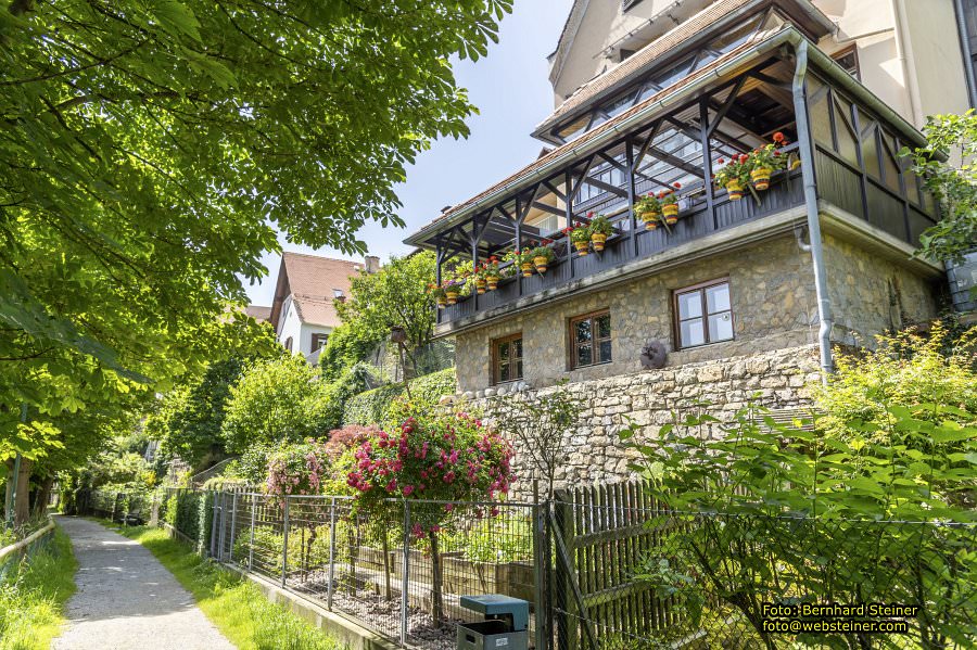 Frohnleiten, Juni 2024