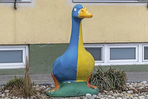 Projekt: G�nserndorf im Marchfeld, Februar  2023