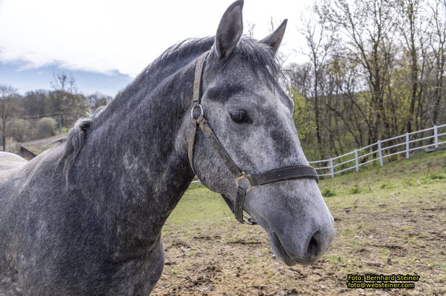 Der Heldenberg, April 2023