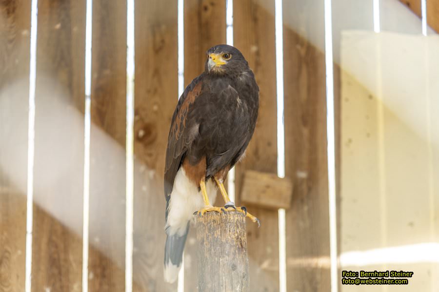 Der Heldenberg, April 2023